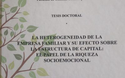 LA HETEROGENEIDAD DE LA EMPRESA FAMILIAR Y SU EFECTO SOBRE LA ESTRUCTURA DE CAPITAL: EL PAPEL DE LA RIQUEZA SOCIOEMOCIONAL / FAMILY FIRM HETEROGENEITY AND ITS EFFECT ON THE CAPITAL STRUCTURE: THE ROLE OF SOCIOEMOTIONAL WEALTH